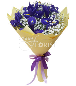 Bouquet of irises with baby's breath